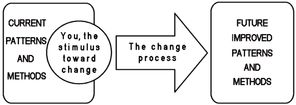 The change process