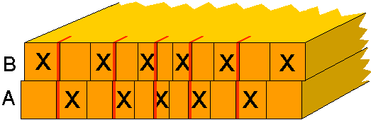 Box joint - kerf marked